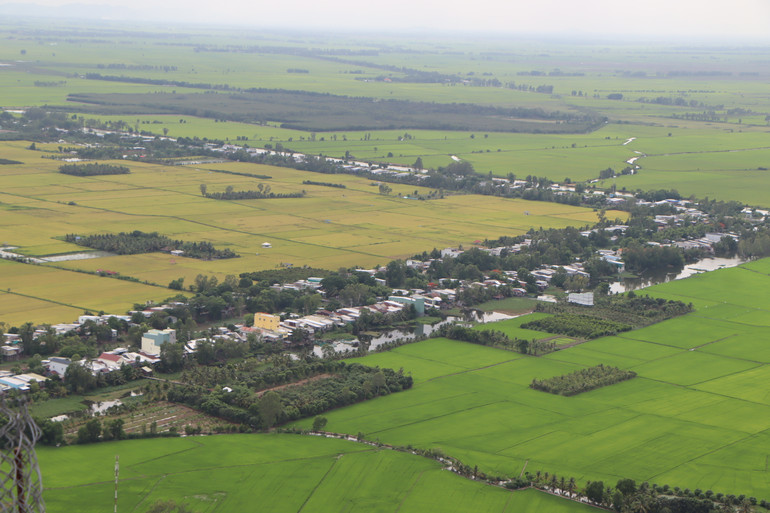 An Giang thúc đẩy chuyển đổi số trong nông nghiệp xây dựng nông thôn mới thông minh.