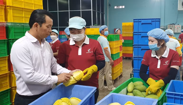 Xây dựng thương hiệu là giải pháp nâng giá trị tại EU.