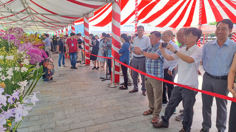 Lãnh đạo tỉnh Vĩnh Long tham quan các gian hàng trưng bày hoa lan.