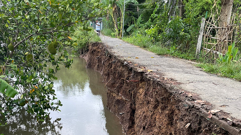 Điểm sạt lở đất ảnh hưởng đến tuyến đường giao thông nông thôn ở xã Đông Bình, thị xã Bình Minh, tỉnh Vĩnh Long. Điểm sạt lở đất ảnh hưởng đến tuyến đường giao thông nông thôn ở xã Đông Bình, thị xã Bình Minh, tỉnh Vĩnh Long.
