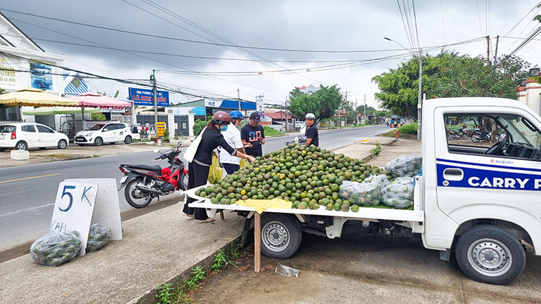 Cam sành được bày bán trên các tuyến đường.