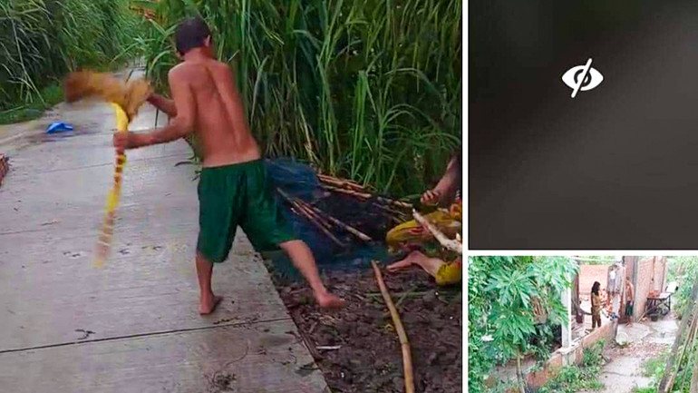 Ảnh cắt từ clip đăng trên mạng xã hội.