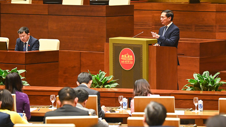 Bộ trưởng Ngoại giao Bùi Thanh Sơn báo cáo tại buổi gặp mặt. (Ảnh: DUY LINH)