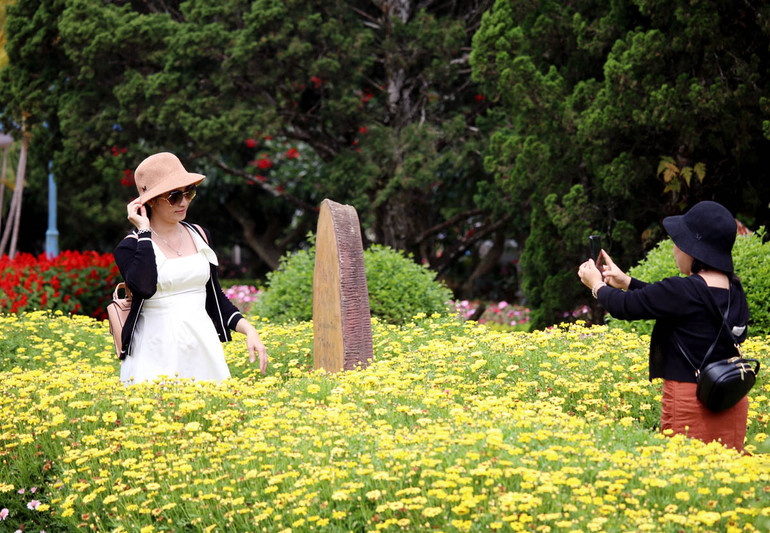 Du khách tham quan, trải nghiệm Vườn hoa hoa thành phố Đà Lạt.