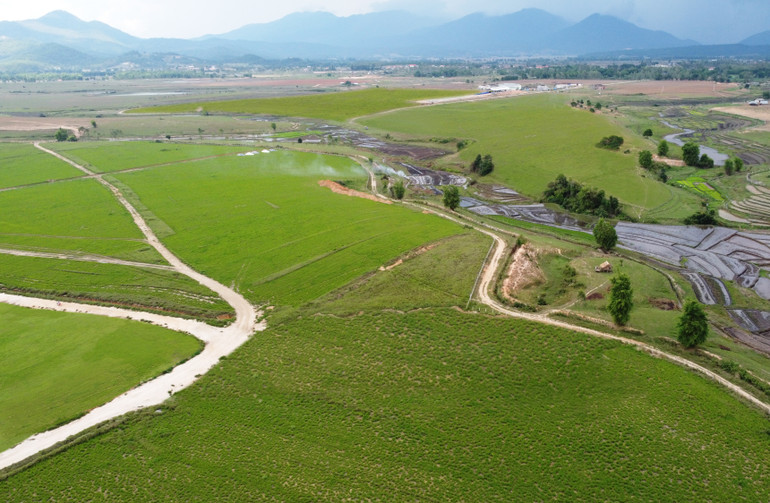 Siêu trang trại Lào Jagro tại Lào với quy mô lên đến 100.000 con bò.