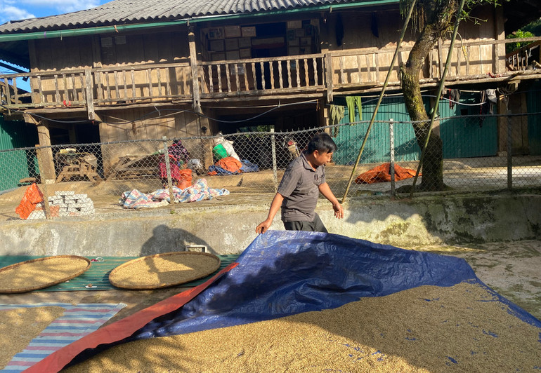 Nhân dân Điện Biên chủ động lao động sản xuất phát triển kinh tế gia đình và có điều kiện xây dựng nông thôn mới tại địa phương.