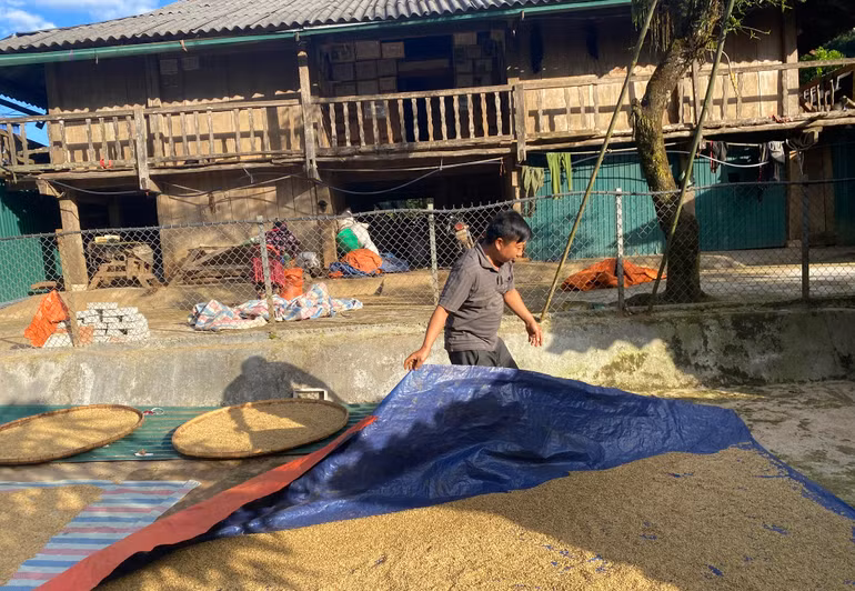 Nhân dân Điện Biên chủ động lao động sản xuất phát triển kinh tế gia đình và có điều kiện xây dựng nông thôn mới tại địa phương.