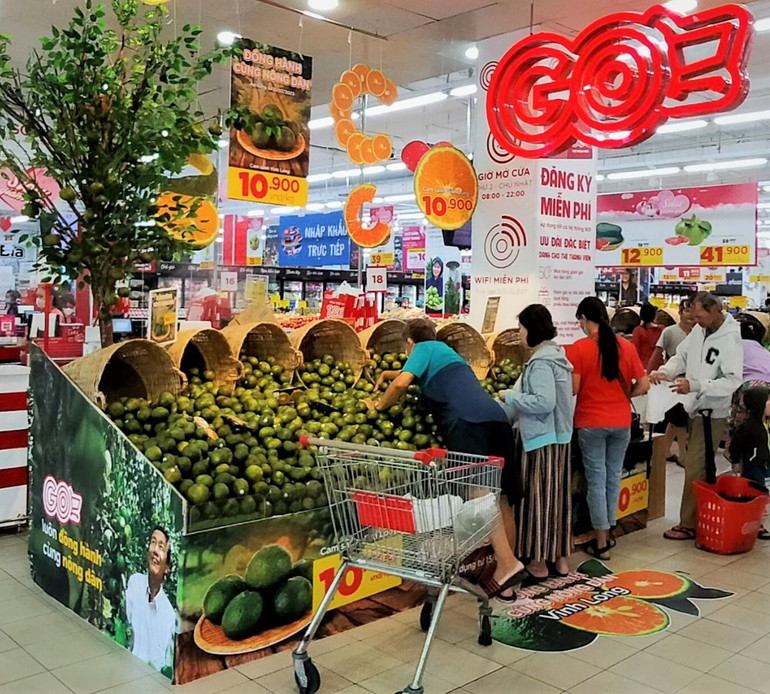 Với giá bán hấp dẫn, cam sành Vĩnh Long khi vừa lên kệ siêu thị GO! đã hút khách ghé mua.