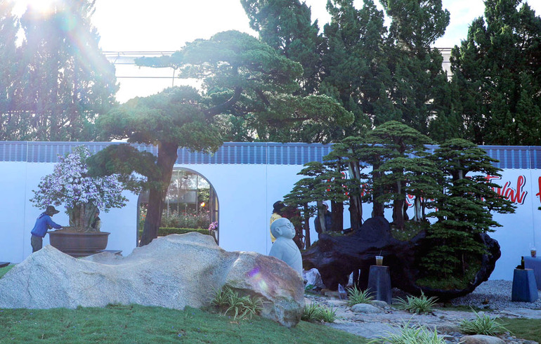 Khu vực trưng bày bonsai.