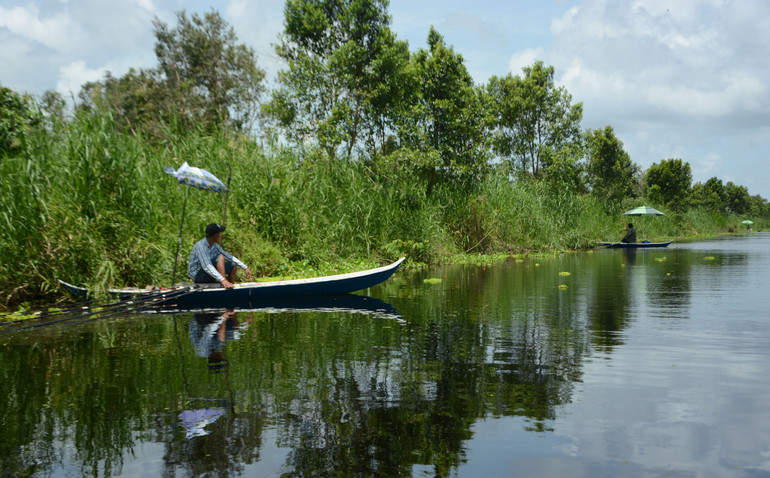 Vườn Quốc gia U Minh Thượng.