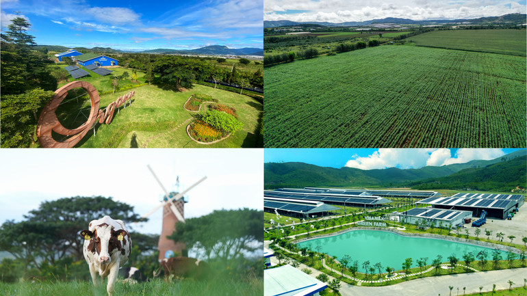 Nhiều giải pháp giúp giảm phát thải khí nhà kính được Vinamilk ứng dụng tại các trang trại.