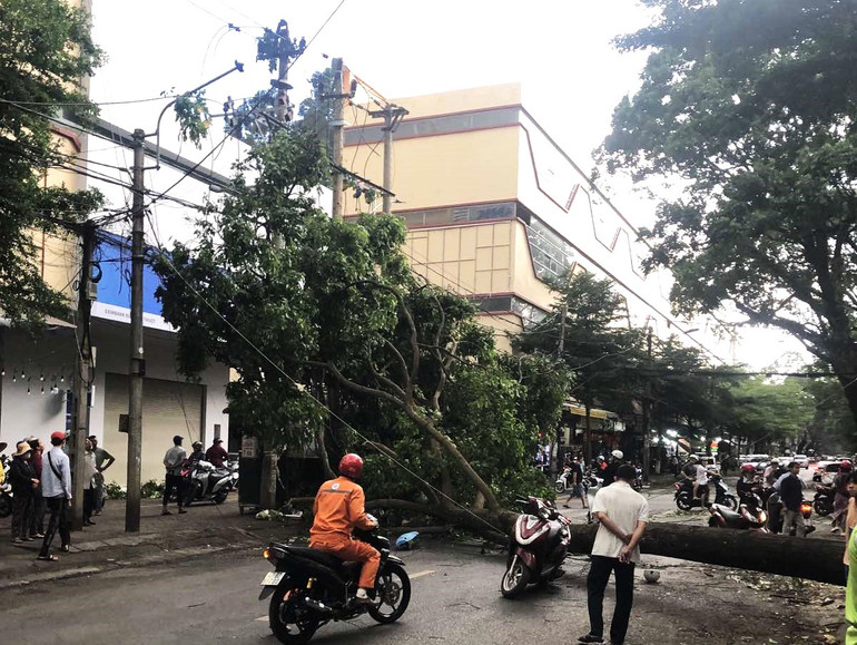 Ngoài đè trúng người phụ nữ, cây xanh này còn đổ vào trạm biến áp bên đường gây ra tiếng nổ lớn và làm mất điện trên diện rộng.