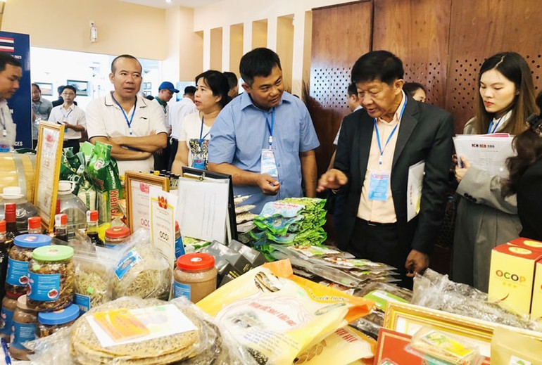 Đại biểu tham quan các gian hàng trưng bày, giới thiệu sản phẩm. (Ảnh: HPA)