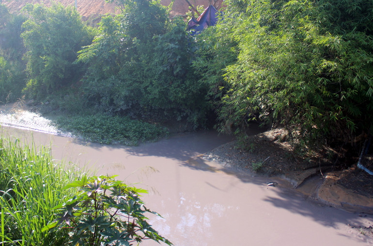 Nước sông Buông ngày càng bị ô nhiễm trầm trọng.