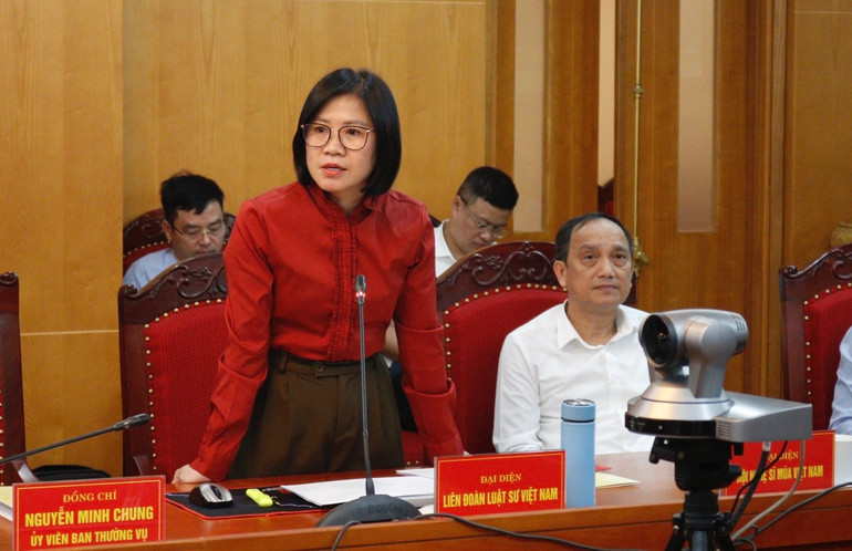 Đại diện Liên đoàn Luật sư Việt nam tham luận.