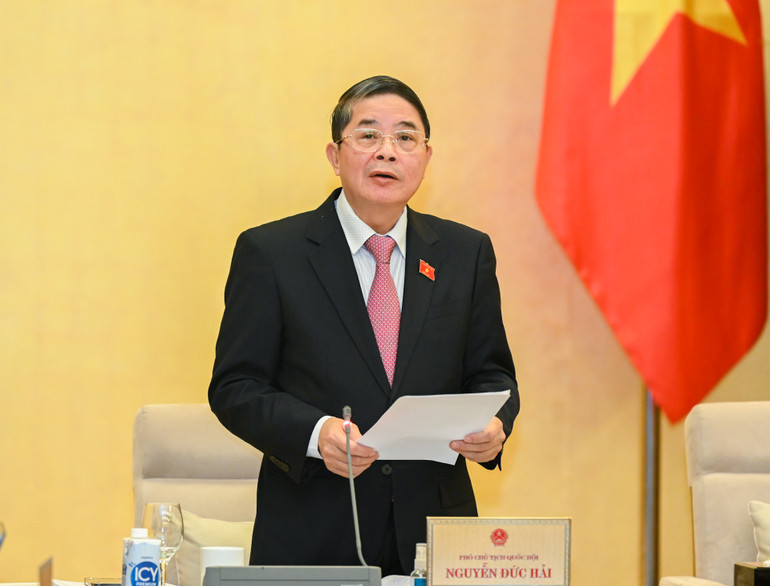 Phó Chủ tịch Quốc hội Nguyễn Đức Hải phát biểu kết luận nội dung thảo luận tại phiên họp.