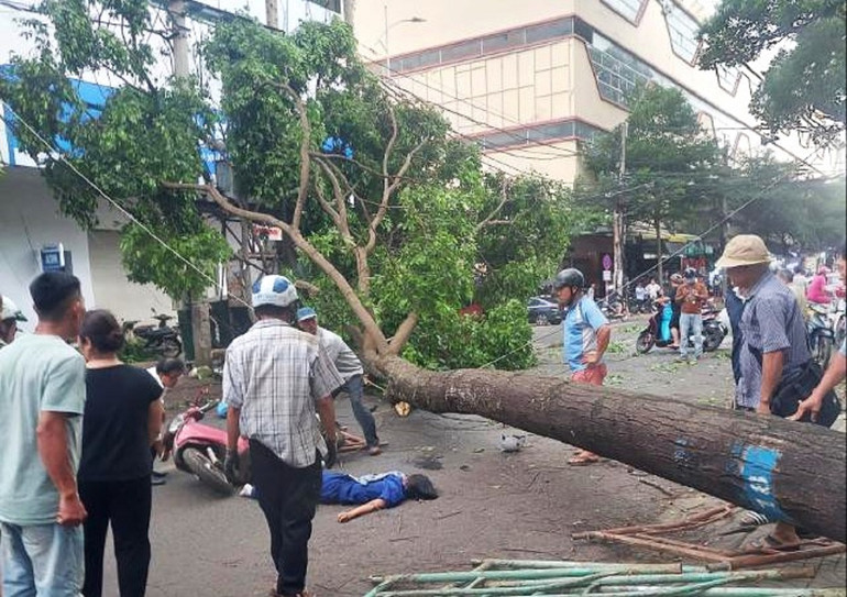 Cây bị bật gốc đổ ngã ra đường đè trúng người phụ nữ đi xe máy khiến người phụ nữ bị thương nặng, được người dân đưa vào bệnh viện cấp cứu trong tình trạng nguy kịch.