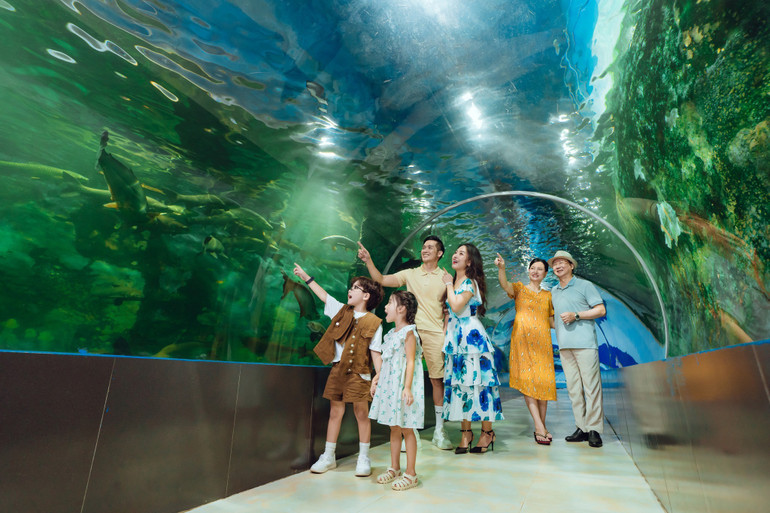 Khách tham quan thủy cung tại Thiên đường Bảo Sơn (Hà Nội). (Ảnh: Chí Dũng) Khách tham quan thủy cung tại Thiên đường Bảo Sơn (Hà Nội). (Ảnh: Chí Dũng)