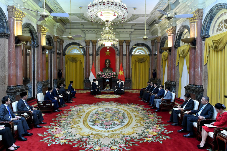 [Ảnh] Tổng Bí thư, Chủ tịch nước Tô Lâm tiếp Tổng thống đắc cử Cộng hòa Indonesia Prabowo Subianto ảnh 6