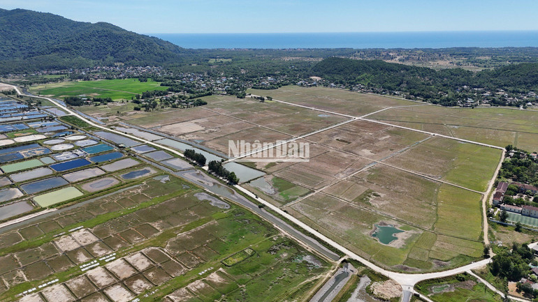 Hơn 100ha đất làm muối ở Đỉnh Bàn đang bị hoang hóa.