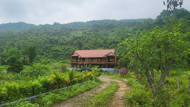 Nhà sàn gỗ hai tầng, cao 7m, diện tích 301,8m2 xây dựng trái phép trên diện tích đất nông nghiệp ở khu vực trang trại chăn nuôi tại xã Xuân Liên.