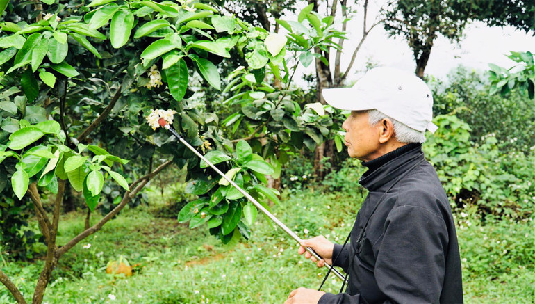 Công việc được tiến hành một cách tỉ mỉ.