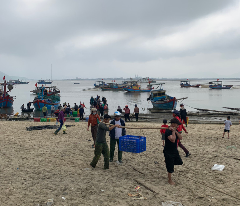 Nguyên liệu chế biến sản phẩm nước mắm được thu mua tận gốc, bảo đảm chất lượng, an toàn vệ sinh thực phẩm.