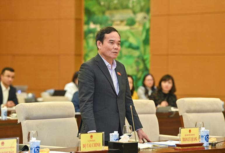 Phó Thủ tướng Trần Lưu Quang phát biểu tại buổi làm việc.