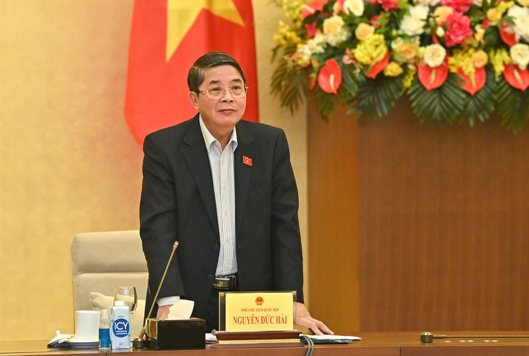 Phó Chủ tịch Quốc hội Nguyễn Đức Hải phát biểu tại buổi làm việc.