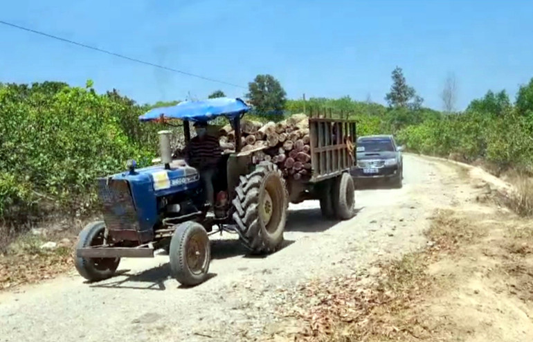 Lực lượng chức năng áp giải đưa tang vật về Hạt Kiểm lâm.