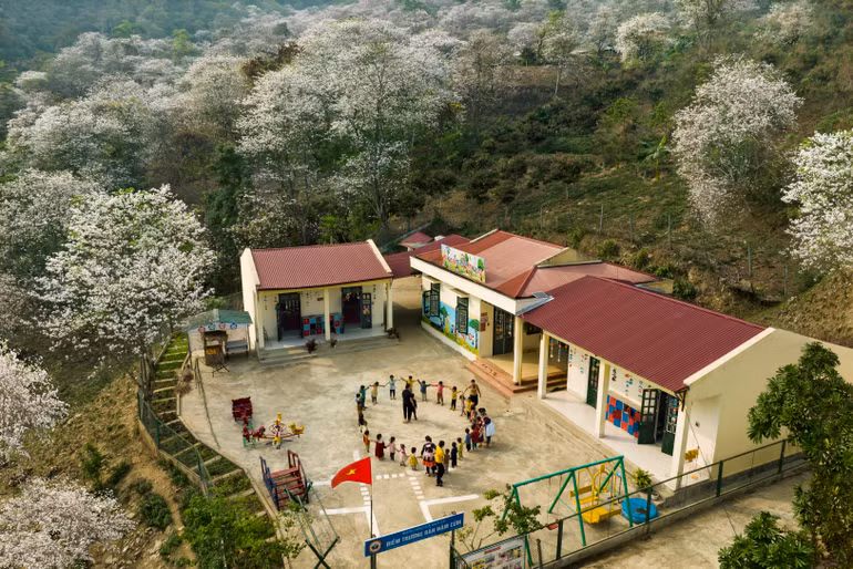 Trường của em be bé, nằm ở giữa rừng ban.