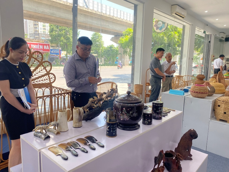 Các mẫu thiết kế sản phẩm thủ công mỹ nghệ phải đáp ứng được nhiều tiêu chí như tính thẩm mỹ, thương mại, văn hóa...