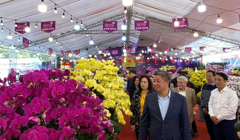 Lãnh đạo thành phố Hà Nội đi kiểm tra điểm chợ hoa Xuân trên địa bàn quận Nam Từ Liêm.