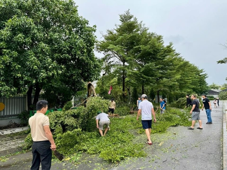Nhiều cây xanh tại trường Tiểu học Đoàn Kết (quận Long Biên) bị gãy đổ đã được thu dọn.