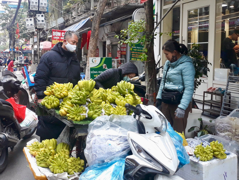 Quả phật thủ to, đẹp có giá vài trăm nghìn đồng/quả.