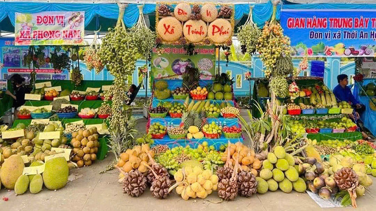 Các loại trái cây được trưng bày trong Ngày hội. Các loại trái cây được trưng bày trong Ngày hội.