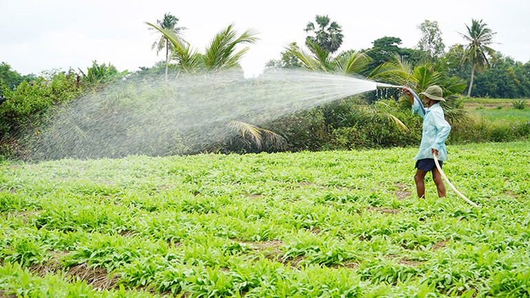 Cơ giới hóa trong sản xuất nông nghiệp vùng nông thôn đồng bào dân tộc thiểu số.