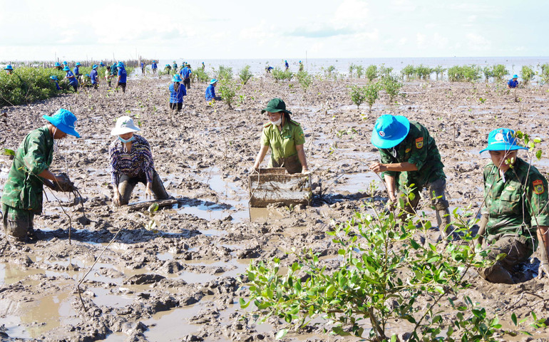 Sóc Trăng phát động trồng rừng phòng hộ ven biển ảnh 1