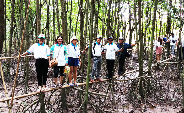 Trải nghiệm du khảo xuyên rừng nguyên sinh tại Cù Lao Dung.