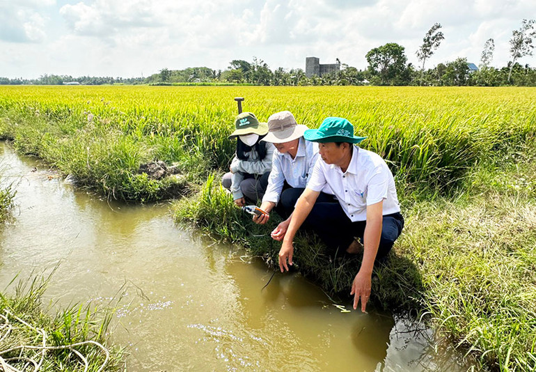 Cán bộ ngành nông nghiệp kiểm tra độ mặn trên đồng ruộng để điều tiết nước ngọt
