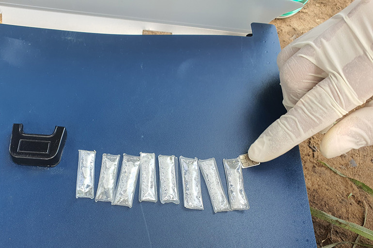 Tang vật ma tuý thu được tại hiện trường Tang vật ma tuý thu được tại hiện trường