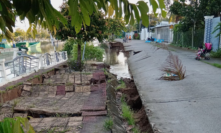 Nhiều đoạn bờ kè tuyến kênh Kế Sách-Na Tưng xuất hiện vết rạn nứt, cảnh báo sạt lở nguy hiểm.
