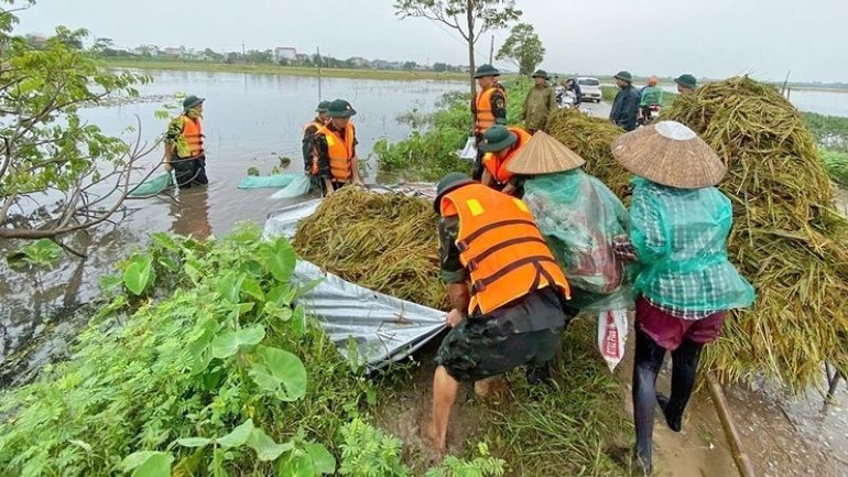 Bộ đội giúp nông dân thu hoạch lúa mùa bị ngập úng.