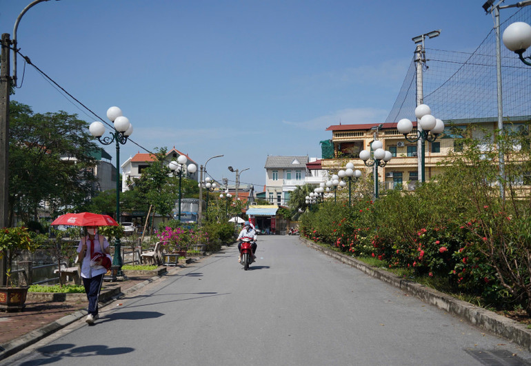 Những tuyến đường hoa làm đẹp cảnh quan xã Dương Xá (huyện Gia Lâm).