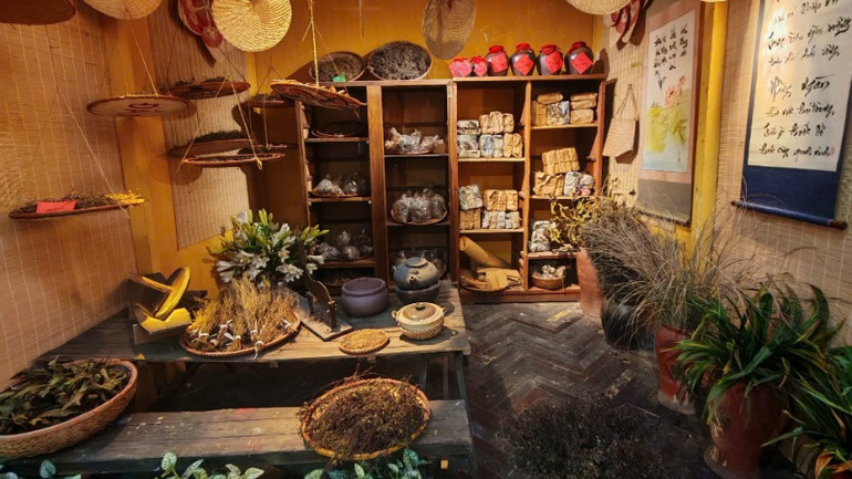 Giới thiệu một số loại thuốc nam gắn với tục hái thuốc trong dịp Tết Đoan ngọ.