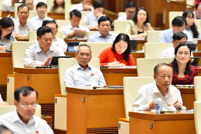 Các đại biểu Quốc hội làm việc tại hội trường. (Ảnh: THỦY NGUYÊN)