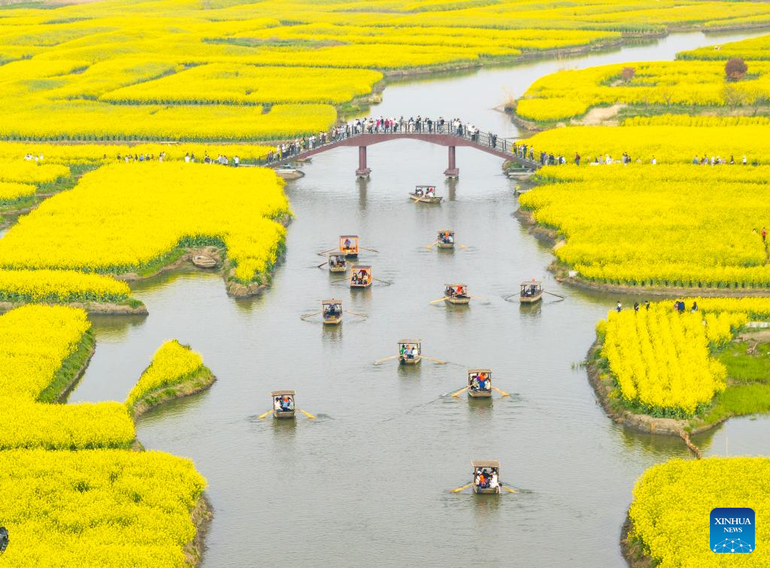 Ngắm hoa cải vàng tại khu danh thắng Tứ Đô, thành phố Hưng Hóa, tỉnh Giang Tô, ngày 5/4.