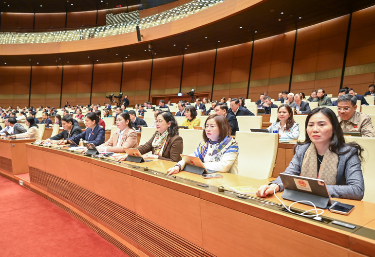 Các đại biểu tiến hành biểu quyết. (Ảnh: DUY LINH)