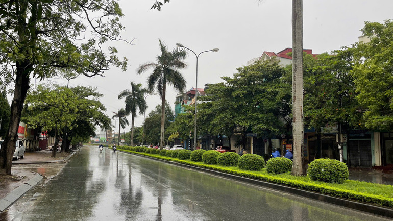 Đường Giải Phóng, thành phố Nam Định vắng người. Đường Giải Phóng, thành phố Nam Định vắng người.