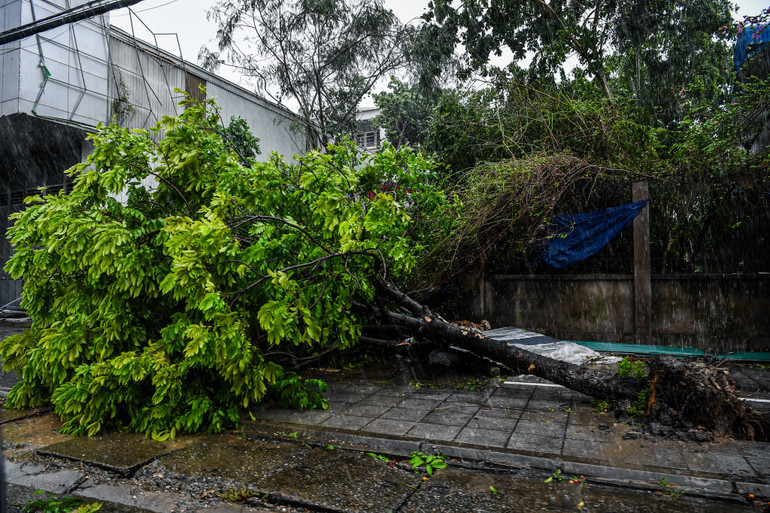 [Live] Bão số 3 di chuyển về phía Tây Bắc Bộ và suy yếu thành áp thấp nhiệt đới ảnh 113